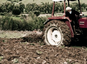 camara-aprova-mp-que-dispensa-emplacamento-de-maquinas-agricolas