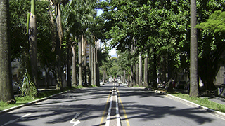 pequenas-acoes-no-transito-contribuem-para-preservar-meio-ambiente